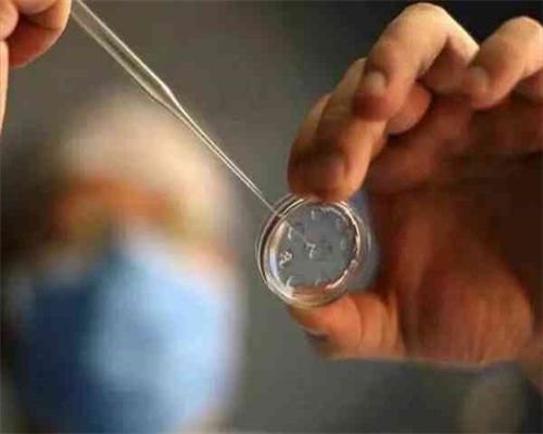 中信湘雅能做供卵试管吗2026_泰国做试管婴儿可以选性别吗_智商可预测，未来试