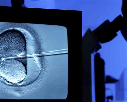 试管一般都是龙凤胎_为什么选择试管婴儿妈妈帮_第三代试管婴儿全过程可怕吗