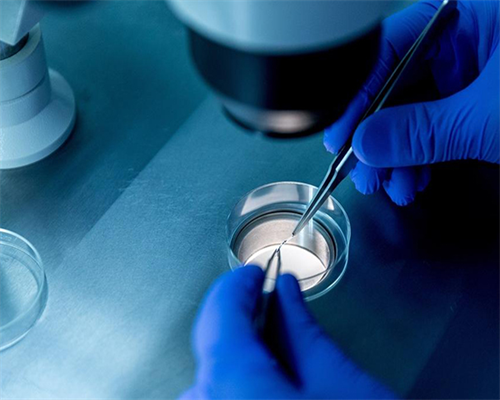 三代试管筛查成功率_试管生男孩多还是女孩多_【河南省人民医院供卵试管】当