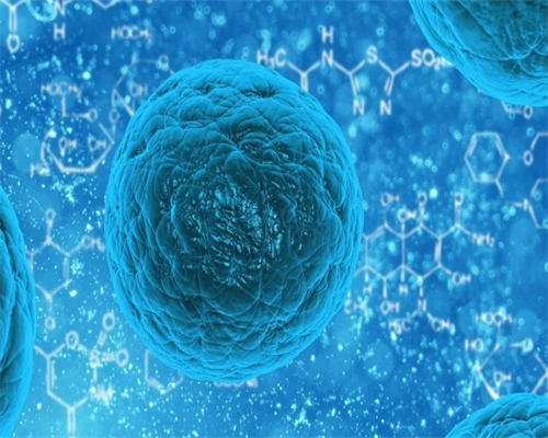 试管婴儿包成功吗_三代试管婴儿选男女_试管婴儿可以选择男女吗？