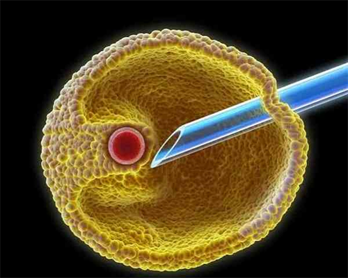 第二代试管可以选男女_试管婴儿几代的区别_试管婴儿如何保胎好？