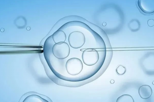 三代试管可以选择男孩吗_正规医院试管婴儿可以选性别吗_8CU5U_做试管婴儿最被