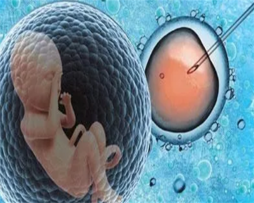 试管婴儿如何挑选优质精子_可以选性别的试管医院_试管婴儿期间饮食并无太多