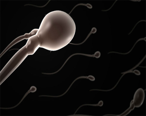 试管双绒双羊龙凤胎的概率有多大_试管三代可以选择男女吗_《人的生殖》是七