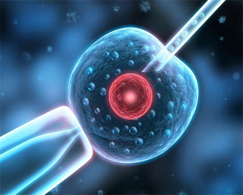 [南京能自然怀孕可以做试管生龙凤胎吗]_77412_5F751_孕早期白带增多无出血，偶尔