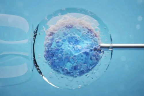 为什么选择试管婴儿妈妈帮_试管婴儿可以选择性别吗_新鲜出炉：孕期营养食谱