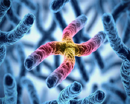 国内哪个医院可以做供卵试管_怎么样试管才能选择性别_宜兴有没有正规供卵公