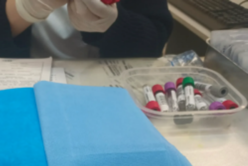 1种蔬菜花，和胃健脾，清热除湿 著名中医为啥用它包馄饨？