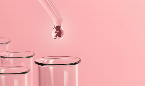 试管婴儿三代选性别阶段_国内做试管可以选性别吗_河北省人民医院张宁保胎真