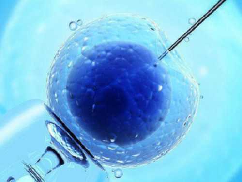 南京代孕成功费用 南京妇幼保健院试管技术怎么样? ‘b超值看男女’