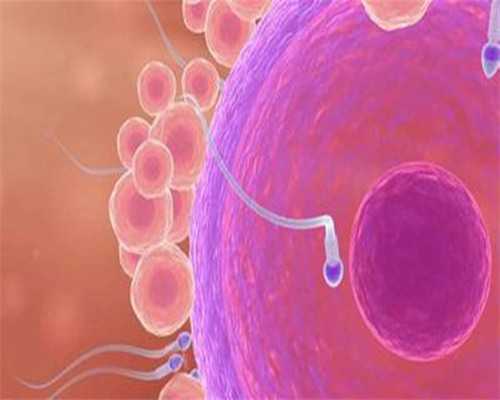 可以选择第三代试管的吗_供卵试管有什么后遗症_供卵自怀的孩子做无创DNA准确