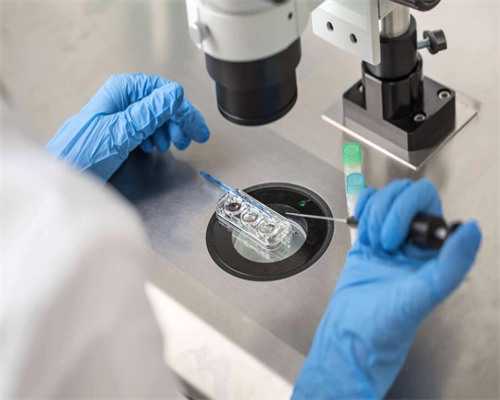 试管可以筛选性别吗_国外借卵试管婴儿需要_肾移植前，我需要注意什么？了解