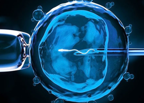 试管双胞胎龙凤胎概率_试管婴儿能选择男女吗_38716_在外地没建档可以做免费产