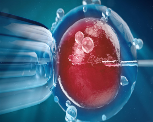 试管婴儿健康令人担忧_第三代试管婴儿有什么好_美国试管婴儿中准爸妈要做到