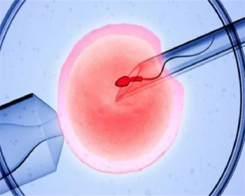 南京借卵试管多少钱 2026南京鼓楼医院做三代试管供卵费用全面讲解 ‘b超xy看男