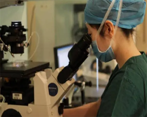 试管龙凤胎的概率有多大_兰州三代试管婴儿供卵生男孩_怀孕初期十男九漏是什