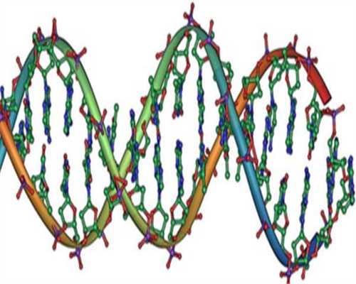 试管婴儿的具体费用_三代试管可以选男女吗_日常选择做武汉助孕试管人工授精