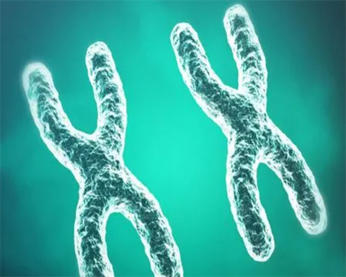 [南京一般在什么情况下选择试管]_92940_m84Vv_24岁备孕期间可以吃乌鸡白凤丸补气