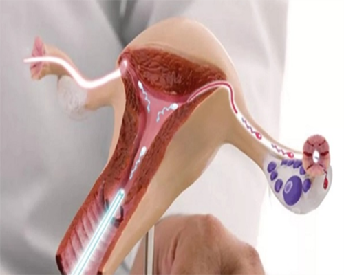 试管婴儿一定能生男孩_第三代试管婴儿中介_北医三院做一次试管助孕需要多久