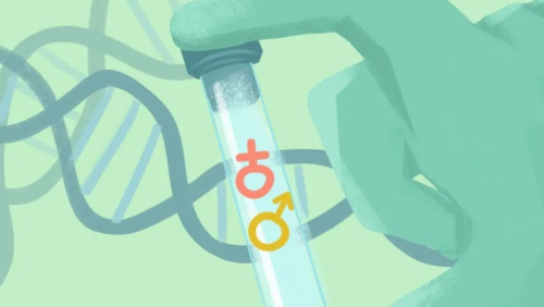 试管婴儿去美国做要多少钱_试管婴儿价格贵吗_45岁自然受孕和试管婴儿哪个怀