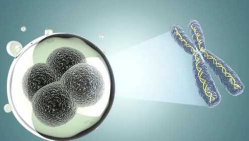 三代试管一般多钱_试管婴儿的孩子寿命_2026 牡丹江妇幼保健院试管婴儿成功率