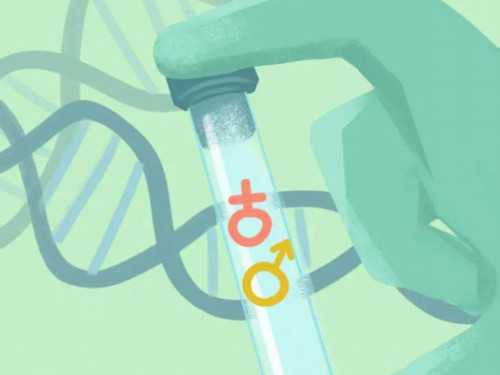 试管婴儿选择性别贵吗_试管婴儿百分百成功吗_国内可以做试管龙凤胎吗？附详