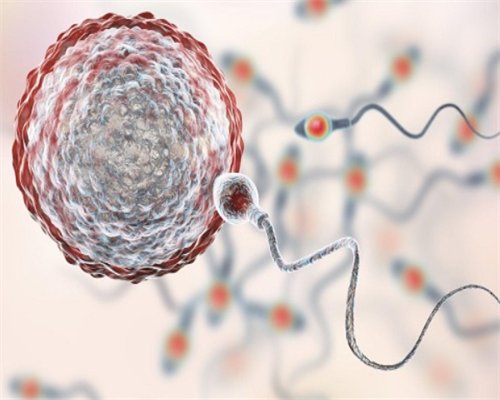 试管一代、试管二代、试管三代究竟区别在哪儿大起底！