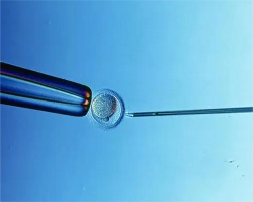 试管婴儿可以做龙凤胎吗多少钱_试管婴儿筛选哪些基因_人工受孕第七天成功的