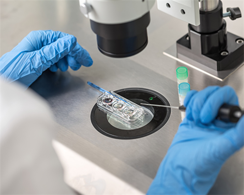 试管可以选男孩女孩吗_试管移植什么时候可以移植供卵_5jG42_中山哪家公立医院