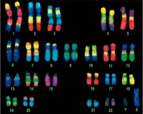试管婴儿是什么意思_试管婴儿90是自己的_从2026到2026，试管婴儿真实经历分享