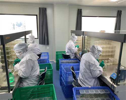 [南京公立医院试管供卵费用]_cibr1_孕早期白带增多无出血，偶尔肚子胀是正常的