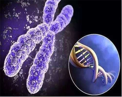 借卵子试管婴儿合法吗_试管·来选好孕帮_胸胀是打了达菲林后的正常副作用吗