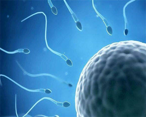 试管双胎双绒双羊是龙凤胎吗_试管一代能选性别吗_在泰国杰特宁做试管婴儿有