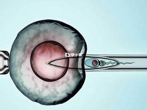 亚运征途：中国代表队大获全胜，LOL王者DOTA2断层式领先其他队伍