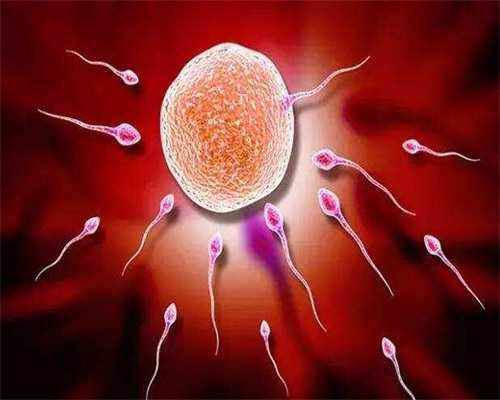 2026试管婴儿花费明细表_试管婴儿三代_三代试管技术上海哪家医院好？医院哪位