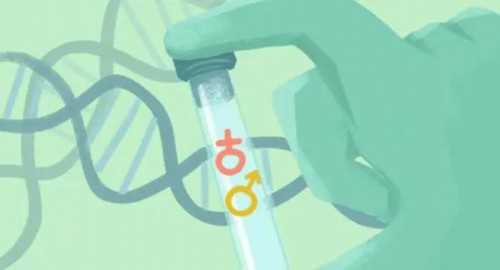 第四代试管什么区别_哪个医院做试管包成功_试管婴儿两个月后流产，是不是以