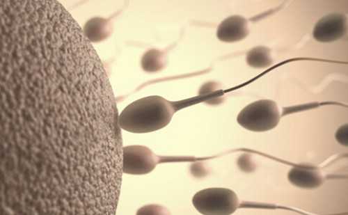 南京怎样做供卵试管成功率高 南京军区总医院试管医生推荐： ‘24三维彩超男