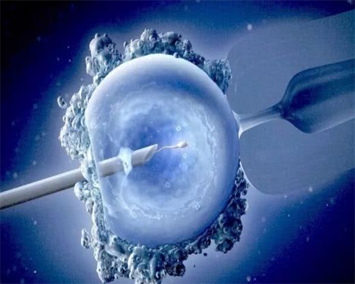 做试管可以借卵子吗_试管移植一般是龙凤胎_河南圣德医院可以做三代试管婴儿