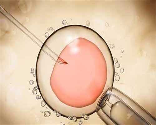 南京供卵试管助孕中心 南京妇幼保健医院试管婴儿成功率如何提升？试试这些