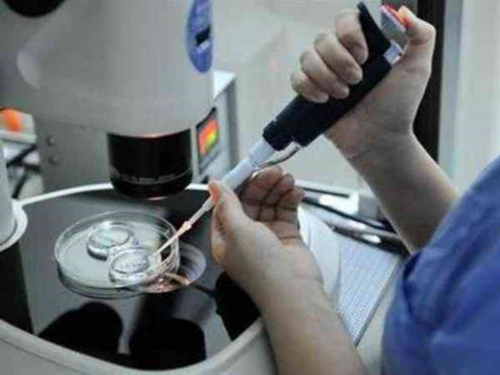 南京代孕哪家公司便宜 南京冷冻卵子需要多少钱 ‘如何看双顶径看男女’