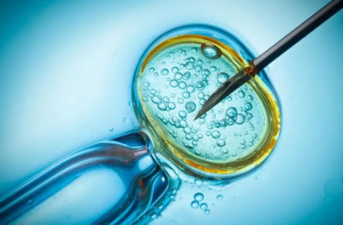 成都试管医院选性别_试管双绒双羊龙凤胎的概率有多大_上海九院生殖科哪个医