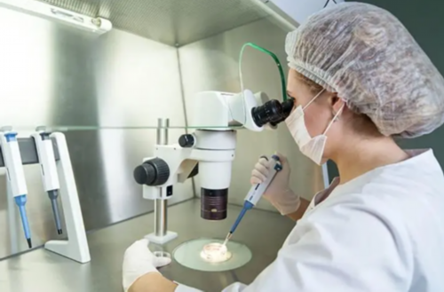 试管流程时间表_3代试管婴儿的大概费用_[剖腹产5年试管怀双胞胎]男性精子成活