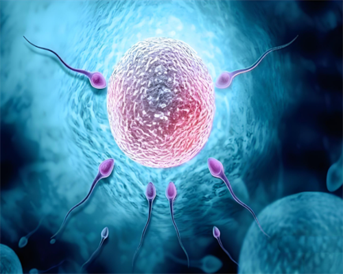 经期同房了一定会得妇科病吗