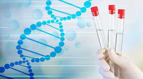 第三代试管婴儿医院性别筛选_哪里试管可以选男孩_如何安排 试管婴儿降调期间