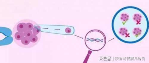 选择性别的试管医院_试管龙凤胎几率大还是双胞胎大_广东试管婴儿费用有没可