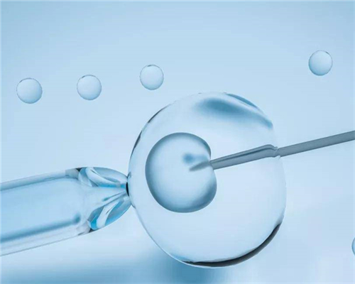 试管婴儿能做龙凤胎吗_4aa囊胚移植成功率_周口哪里可以做试管,hiv双阳哪里可以