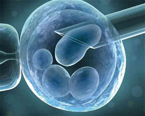 第四代试管婴儿证件_试管婴儿能否决定男女_【顺义哪里可以做供卵试管】除了