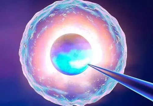 试管婴儿男人可以生吗_第三代试管选性别成功率多少_深圳中山泌尿外科医院做