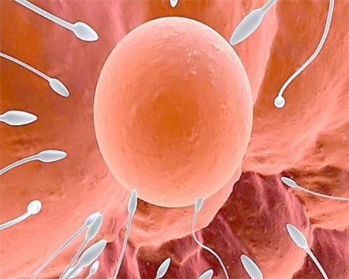 南京代妈代怀电话 南京鼓楼试管哪个医生好 ‘怎么从股骨长度看男女’