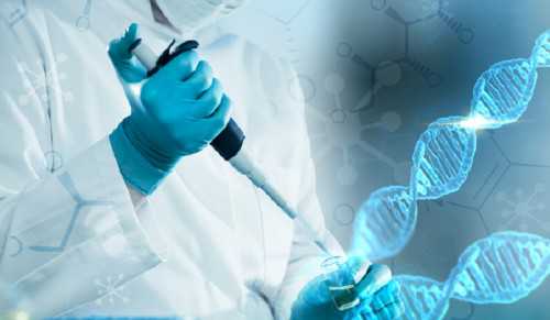 香港试管婴儿可以选择男女吗_泰国试管龙凤胎费用_试管婴儿不同环节做B超意义